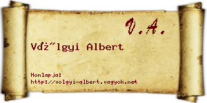 Völgyi Albert névjegykártya